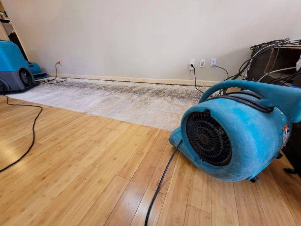 Professional Water Damage Repair technician working in Jewett, OH